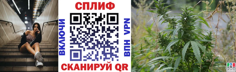 Купить закладку COCAIN  Меф мяу мяу  Гашиш  Марихуана  Закаменск