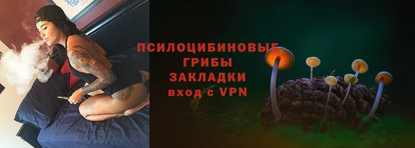 ГАЛЛЮЦИНОГЕННЫЕ ГРИБЫ Дмитровск