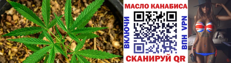 Купить  Закаменск  ТГК гашишное масло 