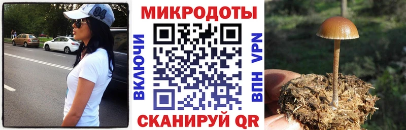 Купить  Закаменск  Галлюциногенные грибы GOLDEN TEACHER 